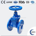 Soft Sealing Cast Iron Stem Gate Valve Manufacturer